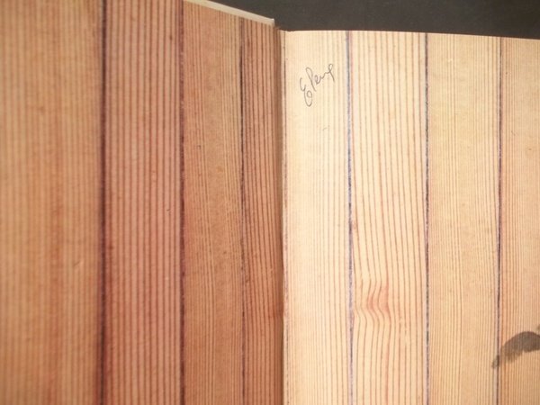 RAPERONZOLO LE PIU' BELLE FIABE DEI FRATELLI GRIMM