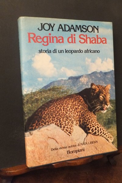 REGINA DI SHABA STORIA DI UN LEOPARDO AFRICANO