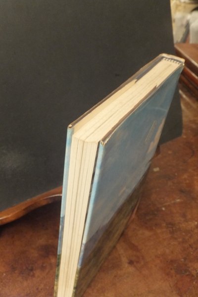 REGINA DI SHABA STORIA DI UN LEOPARDO AFRICANO