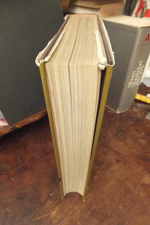 REPUBBLICA SOCIALE ITALIANA RSI STORIA CON POSTER