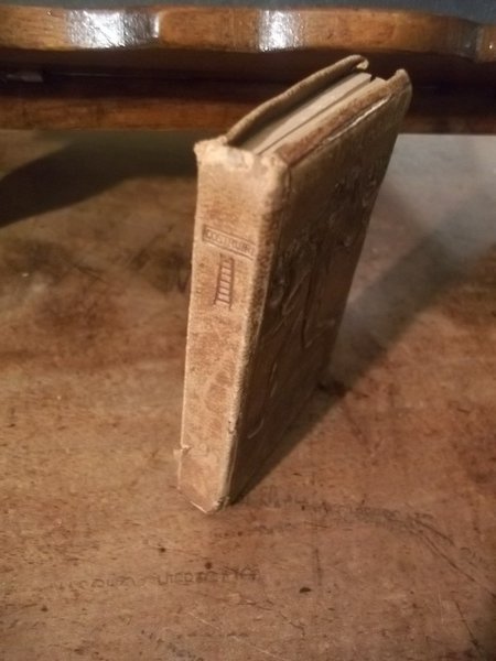 RIFLESSIONI E MASSIME -RACCOLTA DI BREVIARI INTELLETTUALI