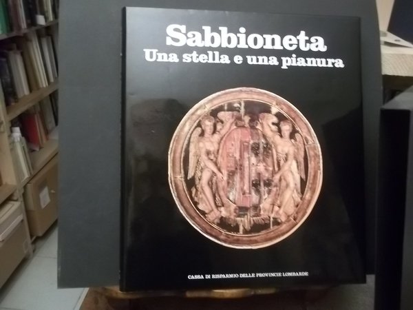 SABBIONETA UNA STELLA E UNA PIANURA