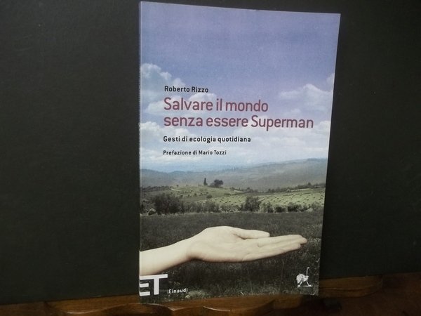 SALVARE IL MONDO SENZA ESSERE SUPERMAN