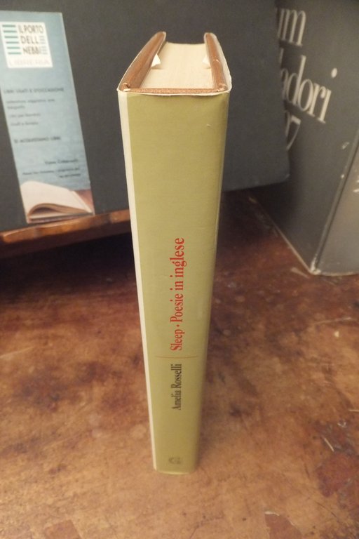 SLEEP POESIE IN INGLESE AMELIA ROSSELLI | Immagine Gallery 4