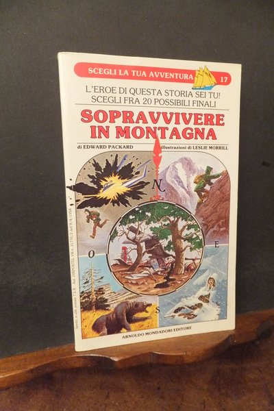 SOPRAVVIVERE IN MONTAGNA - SCEGLI LA TUA AVVENTURA 17