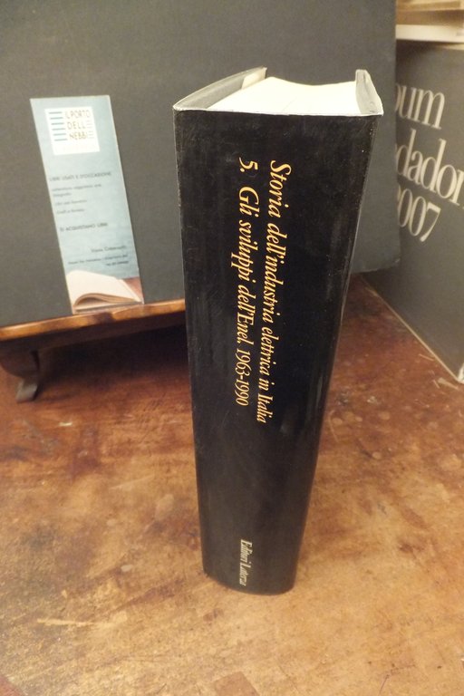 STORIA DELL'INDUSTRIA ELETTRICA IN ITALIA 5 GLI SVILUPPI DELL'ENEL 1963-1990 | Immagine Gallery 2