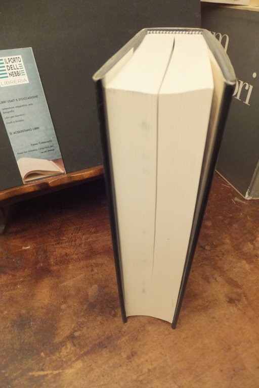 STORIA DELL'INDUSTRIA ELETTRICA IN ITALIA 5 GLI SVILUPPI DELL'ENEL 1963-1990 | Immagine Gallery 4