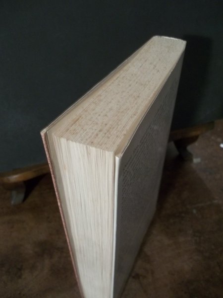 STORIE DI CASA LEOPARDI