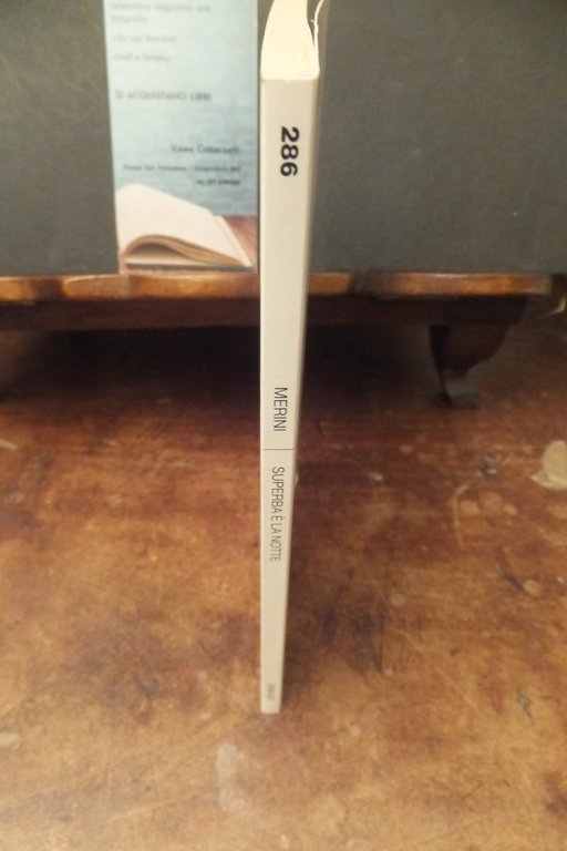 SUPERBA E LA NOTTE ALDA MERINI