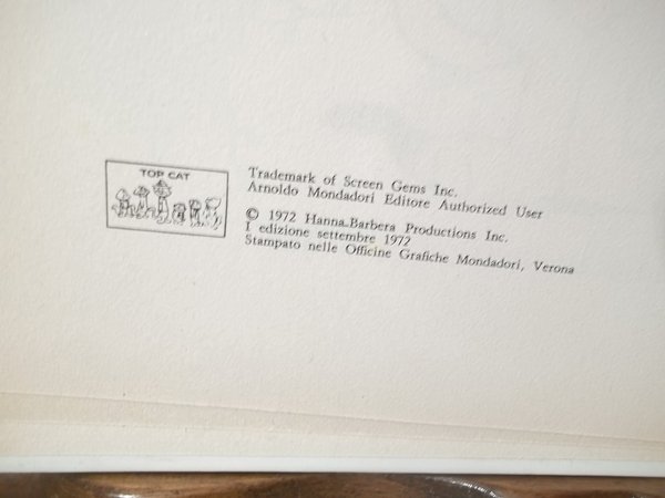 TEMISTOCLE E I GATTI DEL VICOLO