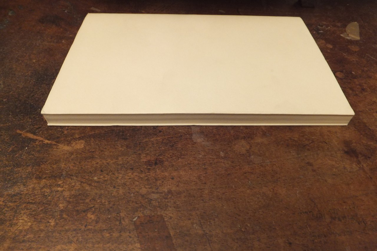 TESTAMENTO ALDA MERINI