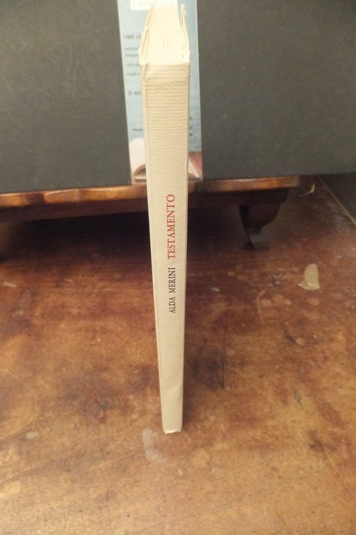 TESTAMENTO ALDA MERINI