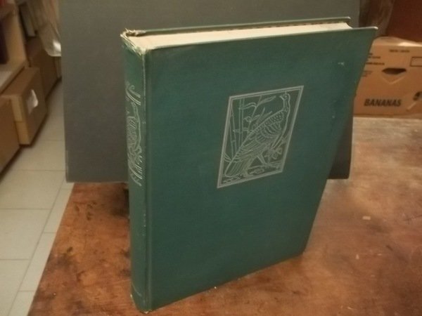 THE BIRDS OF AMERICA