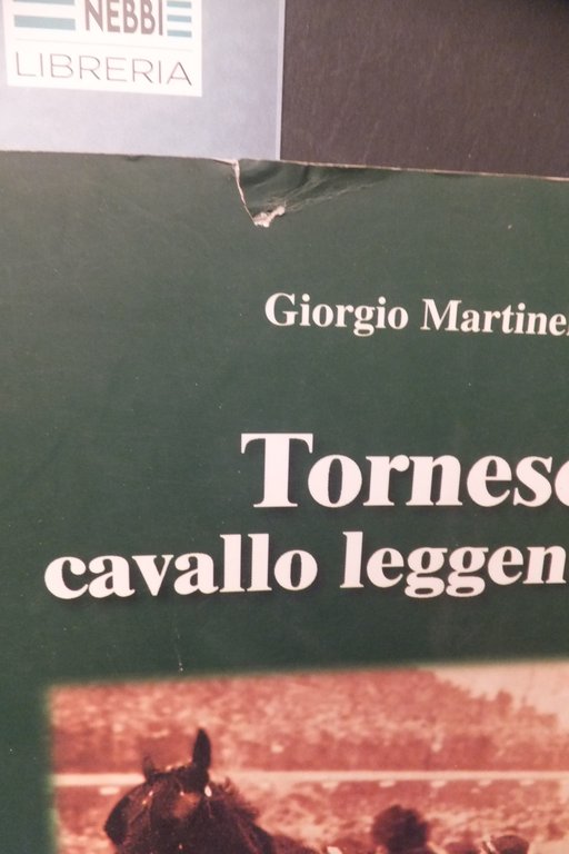 TORNESE CAVALLO LEGGENDARIO GIORGIO MARTINELLI