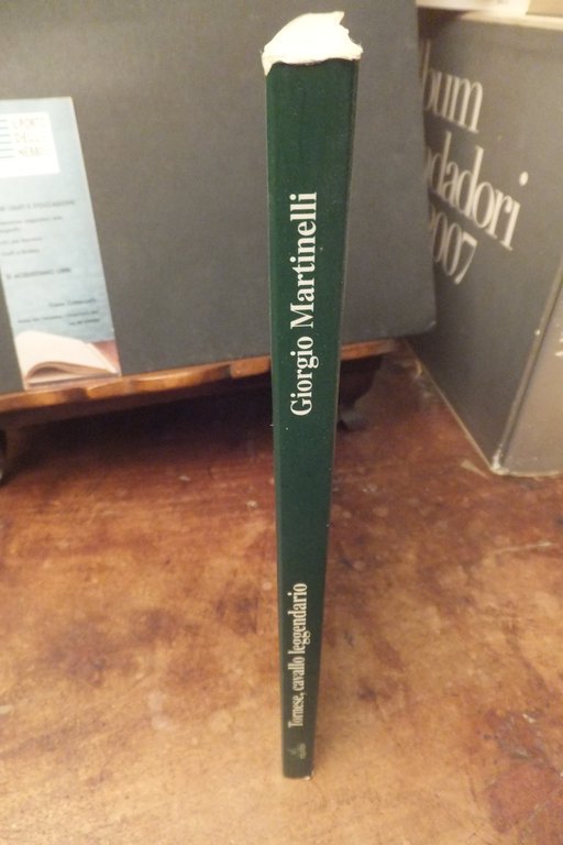 TORNESE CAVALLO LEGGENDARIO GIORGIO MARTINELLI