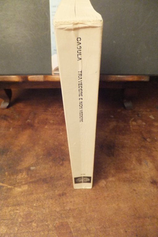 TRA VEDERE E NON VEDERE TONINO CASULA | Immagine Gallery 3