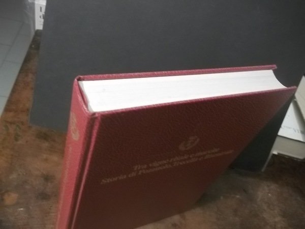 TRA VIGNE RISAIE E MARCITE STORIA DI POZZUOLO,TRECELLA E BISENTRATE