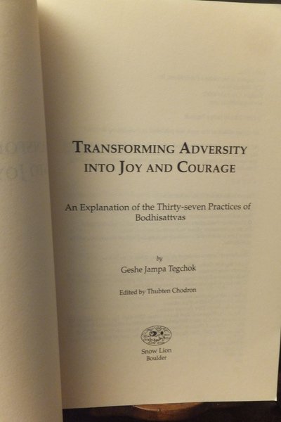 TRANSFORMING ADVERSITY INTO JOY AND COURAGE - AN EXPLANATION OF …