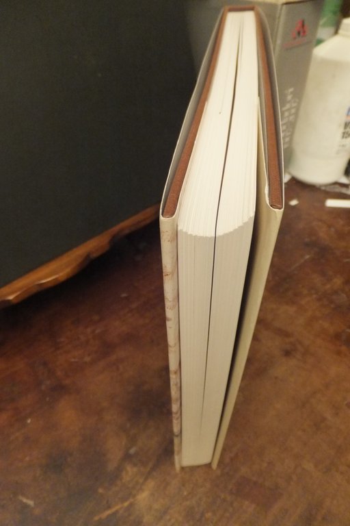 TREZZO SULL'ADFDA CARTOGRAFIA E VEDUTE DAL CINQUE ALL'OTTOCENTO