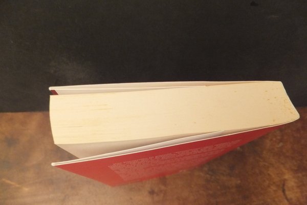 UN'AZALEA IN VIA FANI