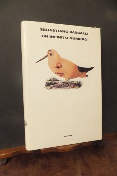 UN INFINITO NUMERO | Immagine principale