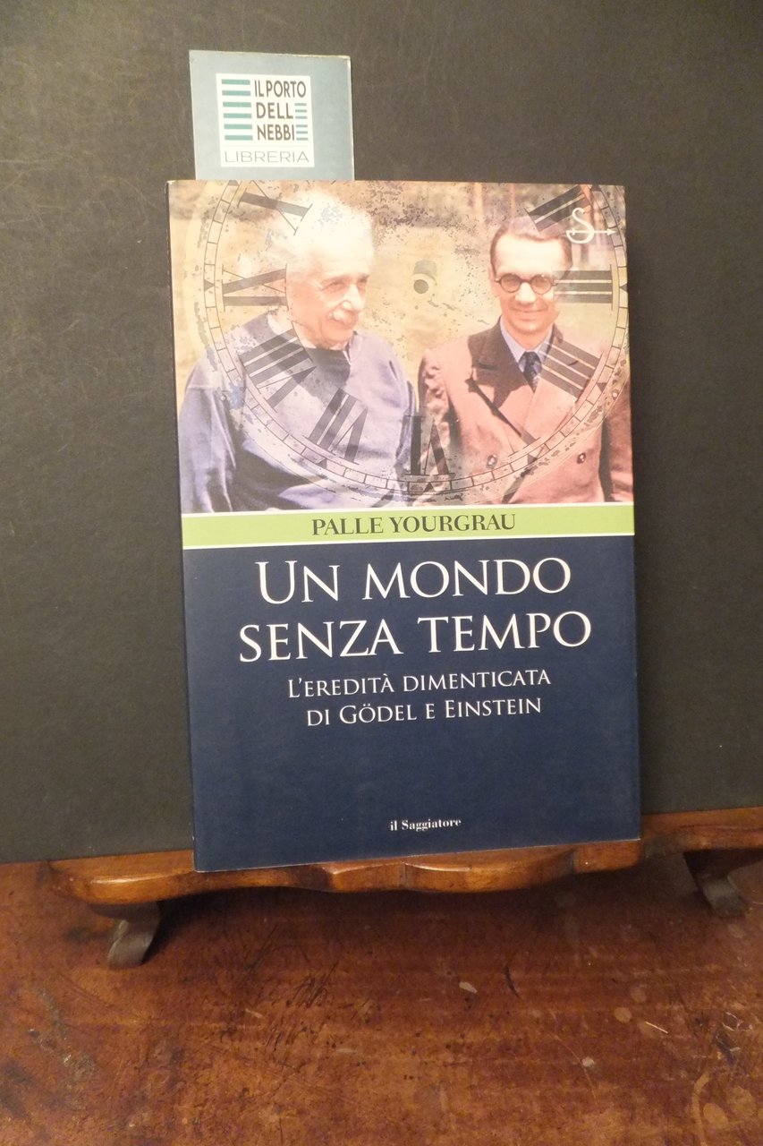 UN MONDO SENZA TEMPO L'EREDITA' DIMENTICATA DI GODEL E EINSTEIN | Immagine principale