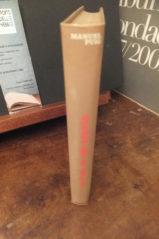 UNA FRASE UN RIGO APPENA MANUEL PUIG