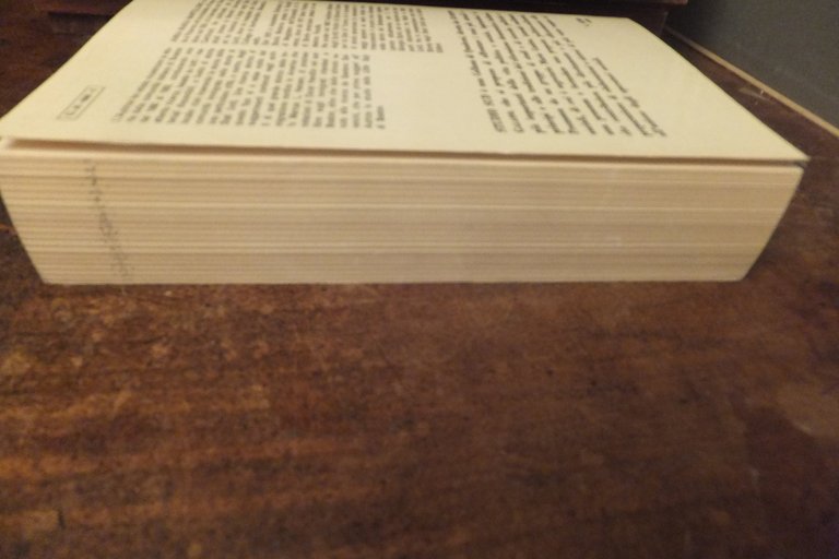 UNA LITTLE ITALY NELL'ATENE D'AMERICA A. M. MARTELLONE