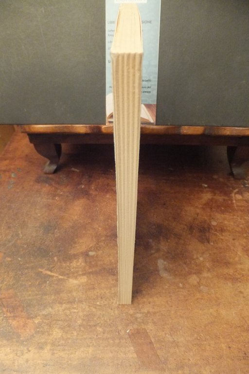 UNA REGINA TENERA E STUPENDA MARIO BAUDINO