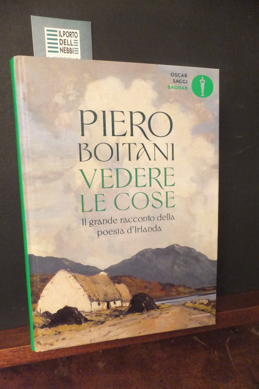 VEDERE LE COSE IL GRANDE RACCONTO DELLA POESIA D'IRLANDA PIERO …