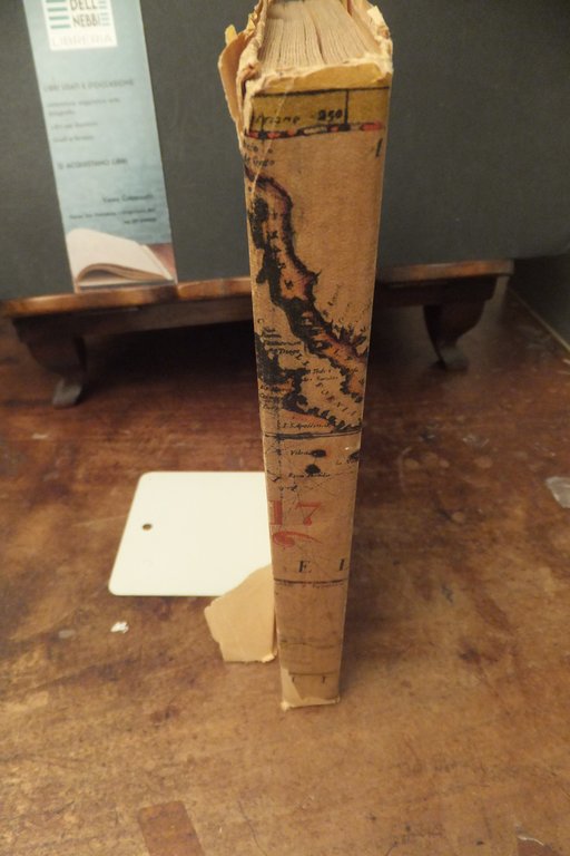 VIAGGIO DEL BEATO ODORICO DA PORDENONE