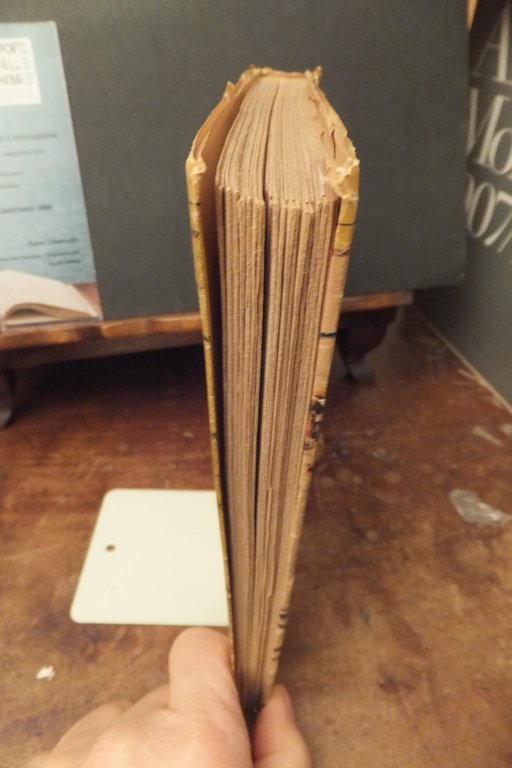 VIAGGIO DEL BEATO ODORICO DA PORDENONE