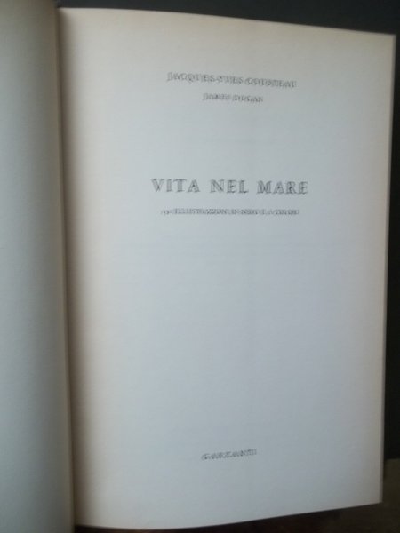 VITA NEL MARE