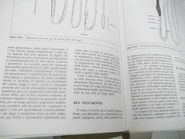 ZOOLOGIA GENERALE E SISTEMATICA