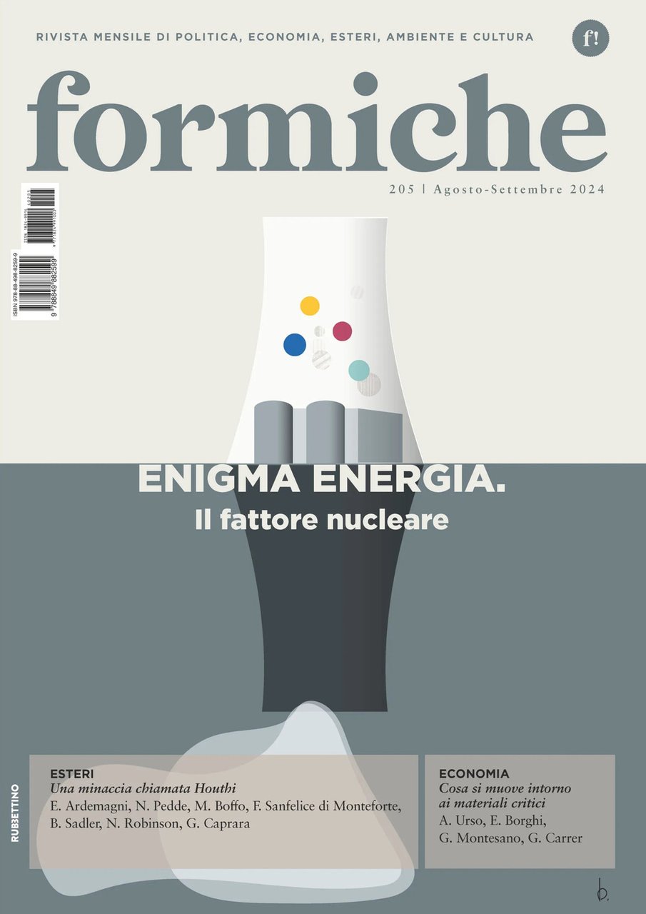 Formiche. Vol. 205: Enigma energia. Il fattore nucleare