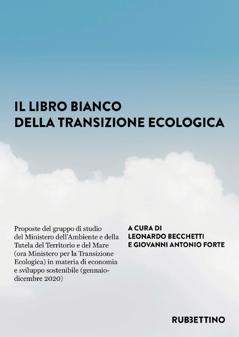 Il libro bianco della transizione ecologica