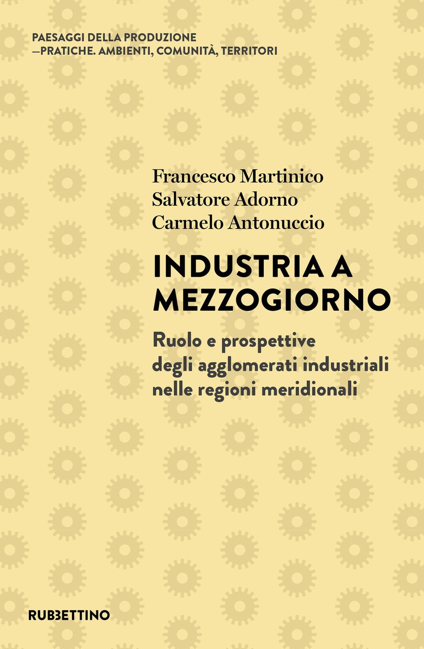 Industria a Mezzogiorno. Ruolo e prospettive degli agglomerati industriali nelle … | Immagine principale