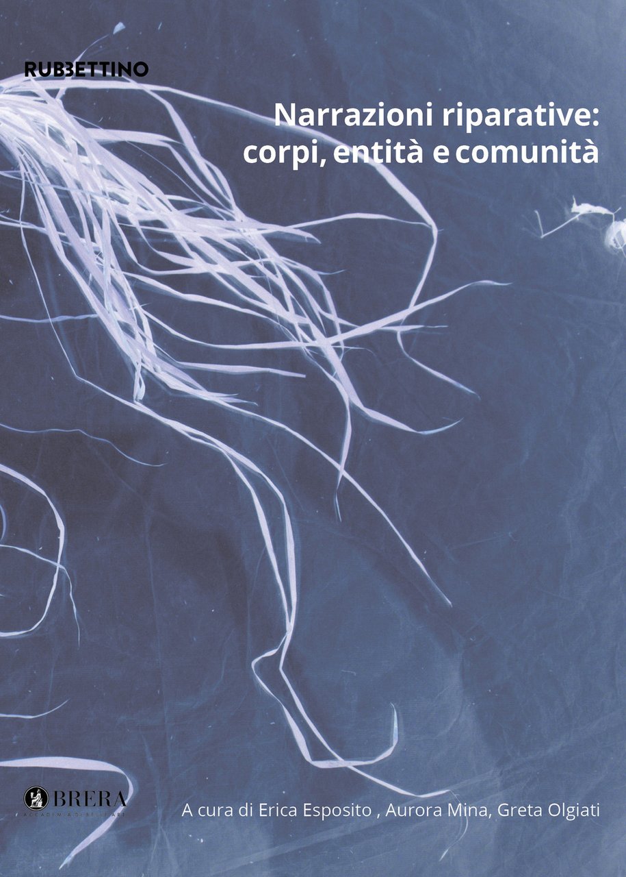Narrazioni riparative: corpi, entità e comunità. Le visual cultures per … | Immagine principale