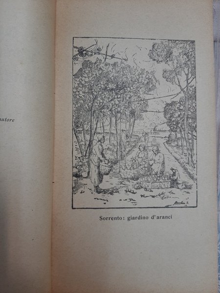 ‘A luggetella mia, ‘A provola d’uva. Janesta d’oro e auti …