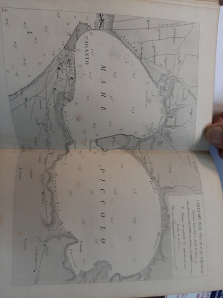 Istruzioni pratiche per l'ostricoltura e la mitilicoltura.