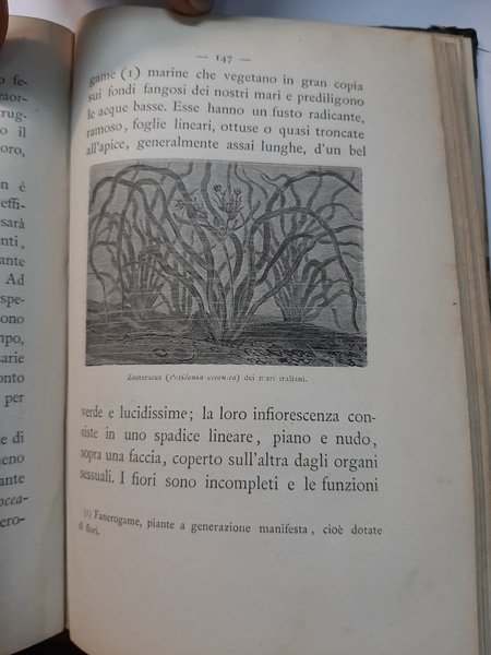 Istruzioni pratiche per l'ostricoltura e la mitilicoltura.