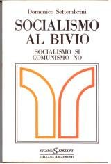 Socialismo al bivio