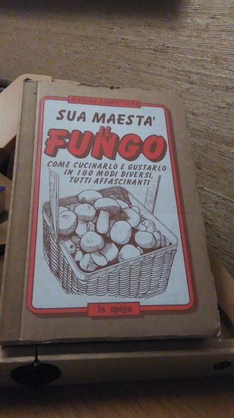 SUA MAESTà IL FUNGO