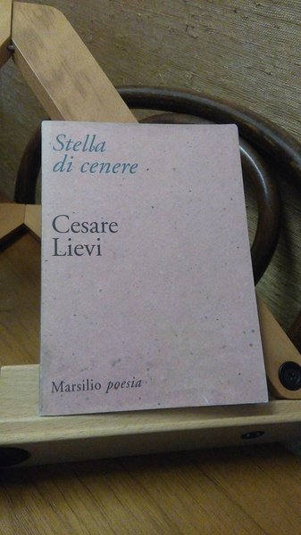 STELLA DI CENERE