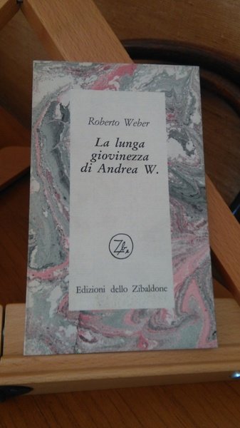 LA LUNGA GIOVINEZZA DI ANDREA W.