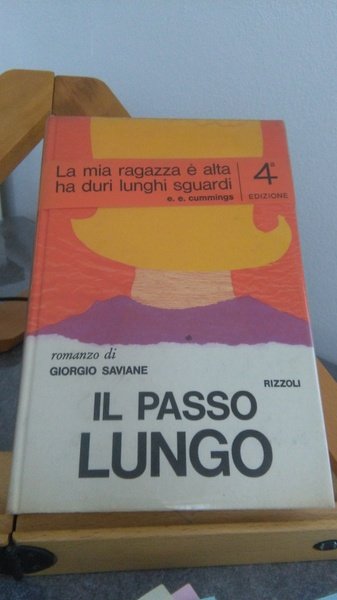 IL PASSO LUNGO