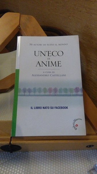 UN'ECO DI ANIME