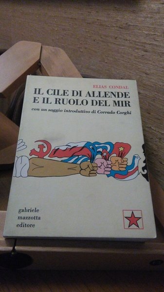 IL CILE DI ALLENDE E IL RUOLO DEL MIR