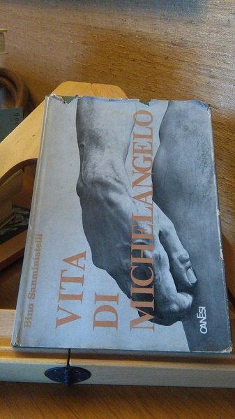 VITA DI MICHELANGELO