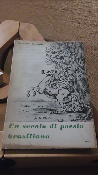 UN SECOLO DI POESIA BRASIALIANA